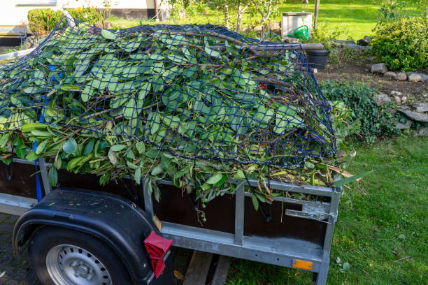 Reliable Cambridge, NE Junk Removal Services Solutions